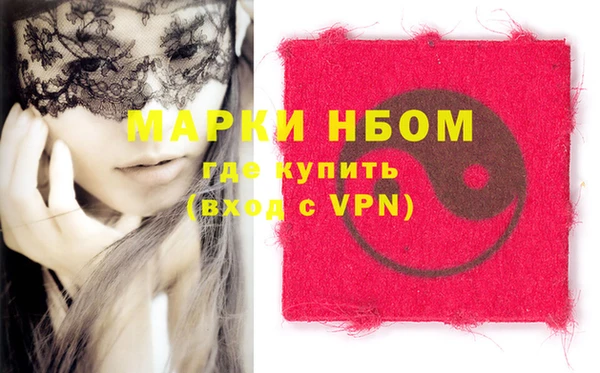 индика Заволжск