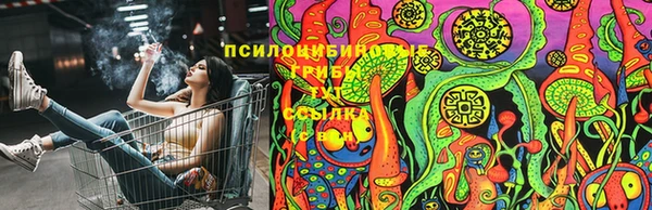 амф Заволжье