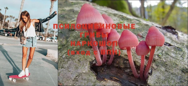 амф Заволжье