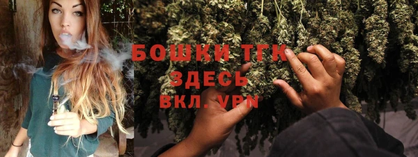 метадон Ельня