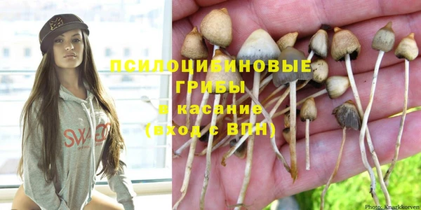 индика Заволжск