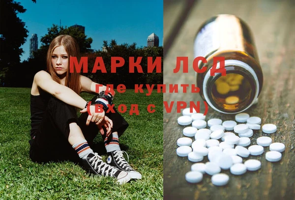 индика Заволжск