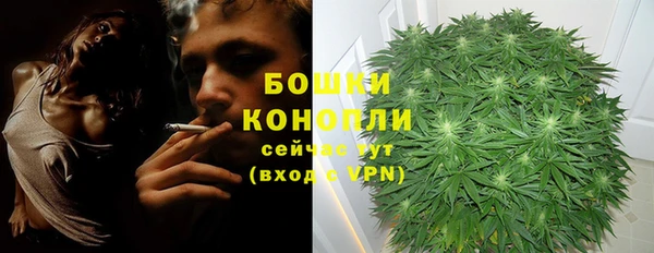 индика Заволжск
