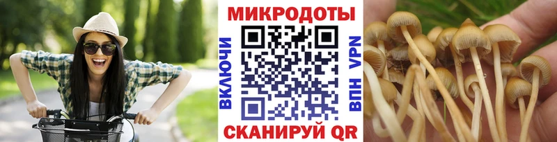 Псилоцибиновые грибы Magic Shrooms  Карабаново 