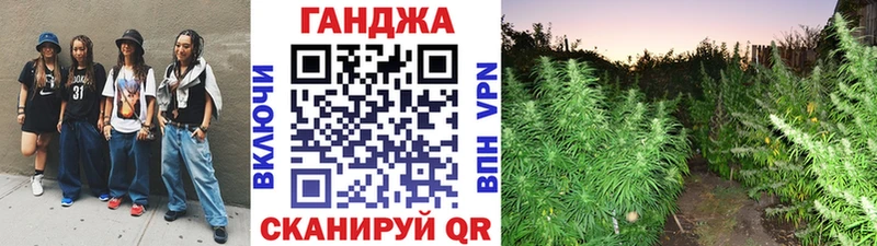 где найти наркотики  Карабаново  Бошки Шишки индика 